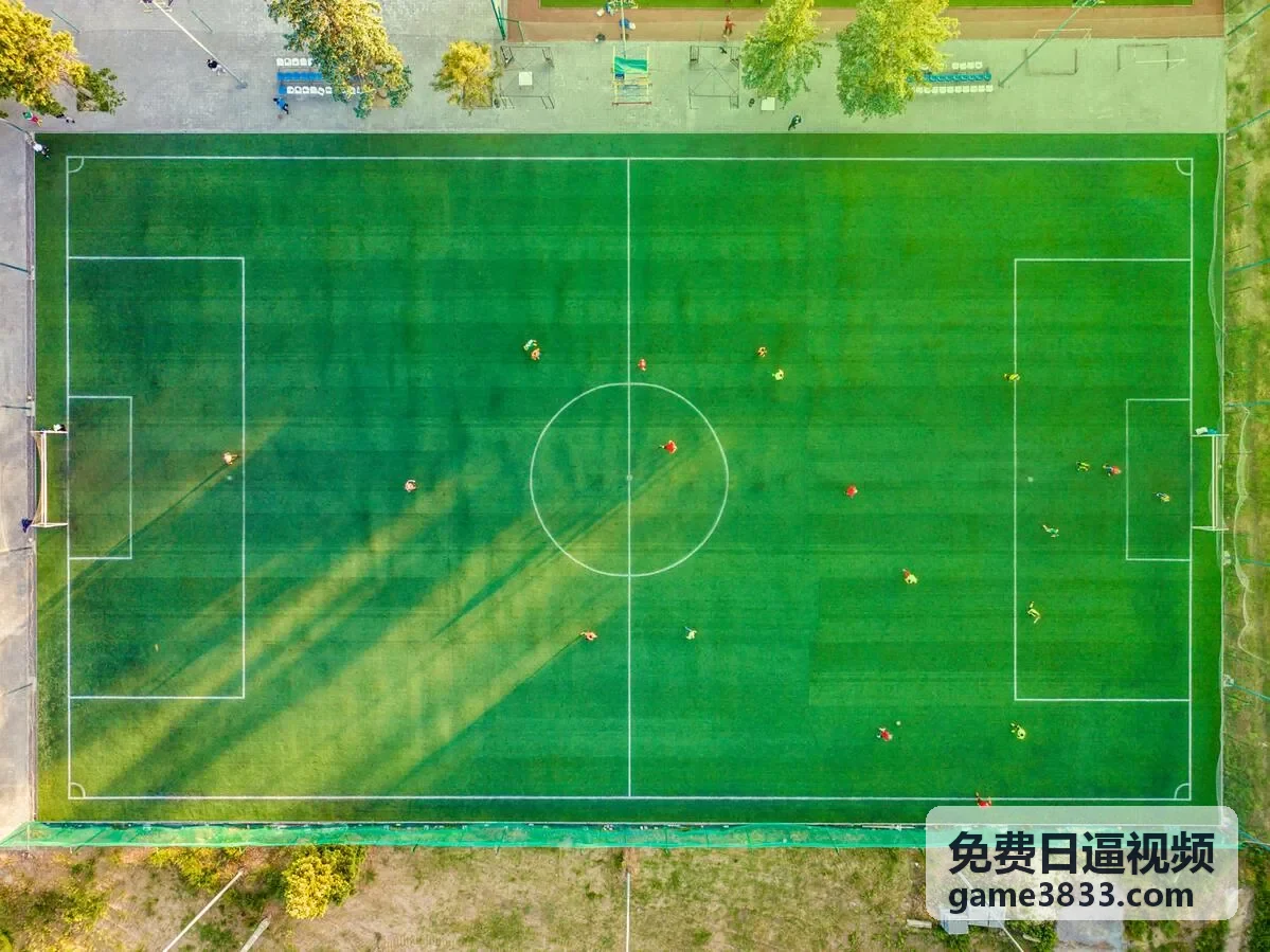 免费日逼视频 4K 高清合集封面