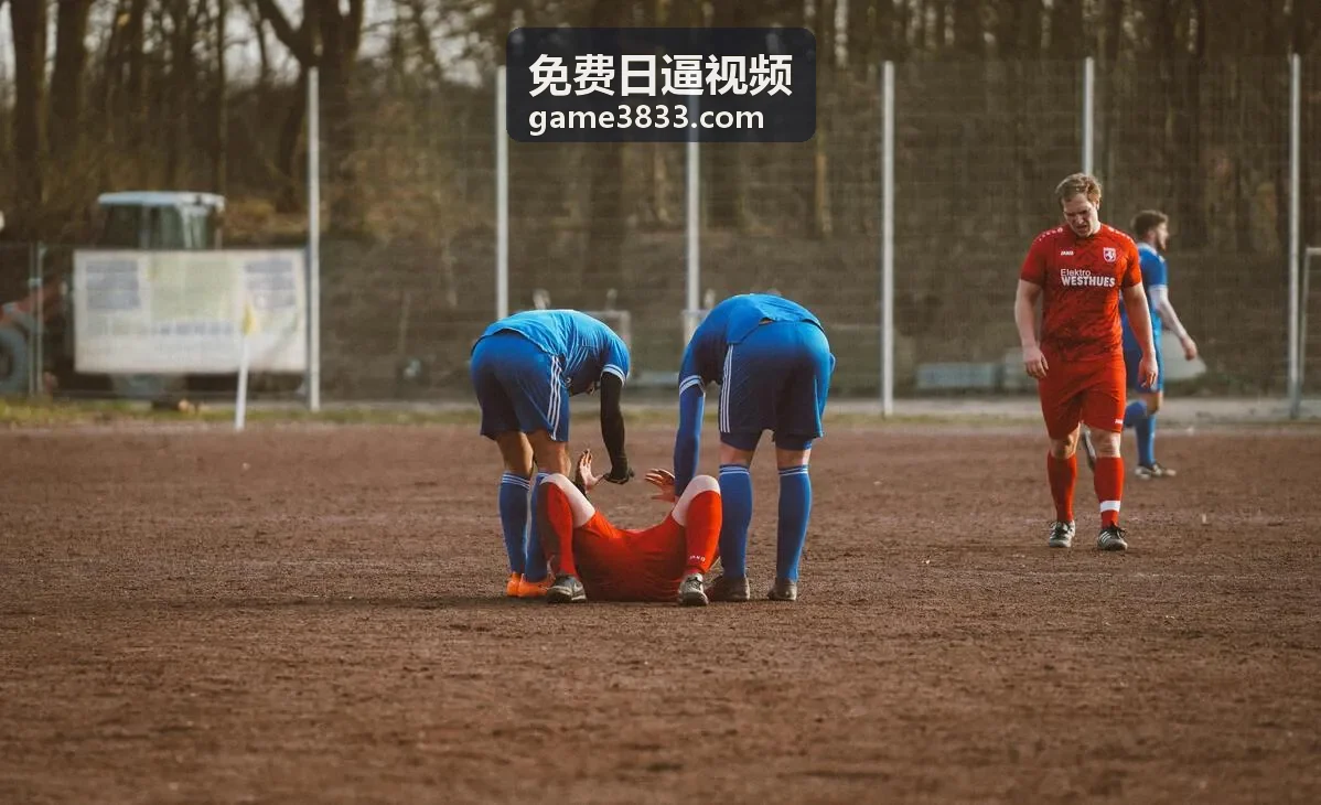 免费日逼视频高清完整片热播缩略图